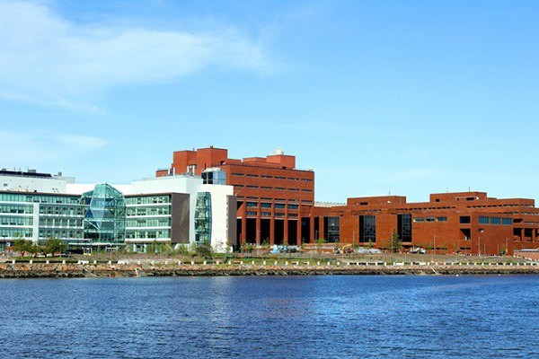 Trường đại học University of Massachusetts Boston – Massachusetts, Mỹ
